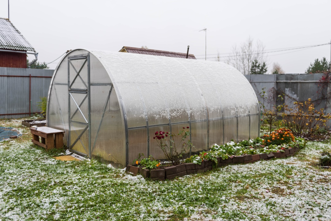 serre hiver 