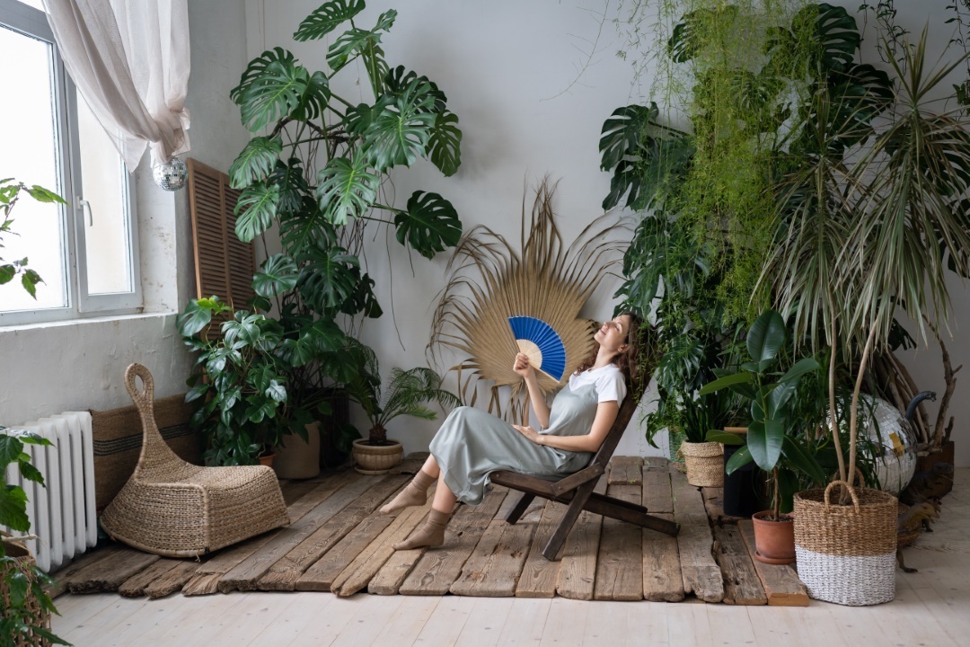 plantes vertes prémunir de la canicule à la maison store intérieur
