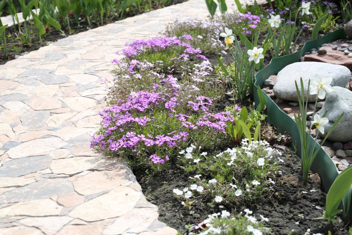 bordures de jardin