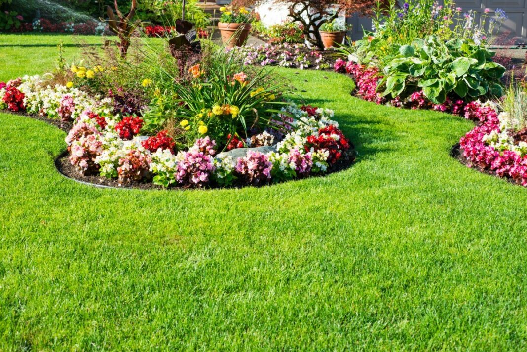 bordures de jardin